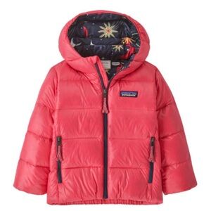 Patagonia Hi Loft Down Sweater Hoody